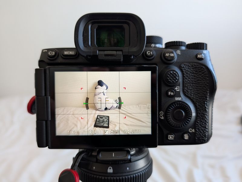 Picture of the back of my camera body